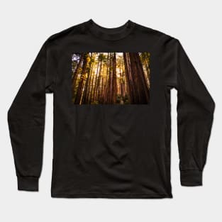 Sunshine shining through redwoods Long Sleeve T-Shirt